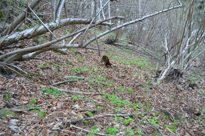 Kraj najdbe pogrešane osebe