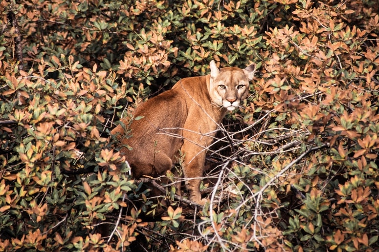 Fotografija je simbolična