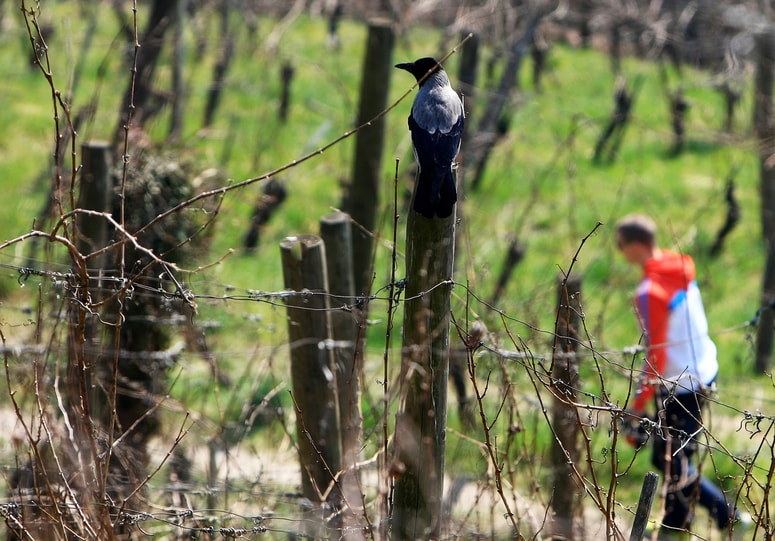 Fotografija je simbolična.