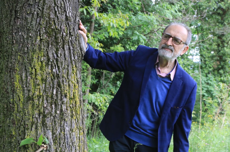 Franc Pohleven: Gozdarje pogosto vprašam, zakaj dopuščajo prodajo v tujino, in njihov odgovor je, da tako vsaj nekaj dobijo.
 