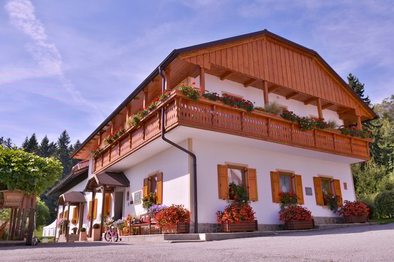 Glavna fotografija članka:Pohorske dobrote sredi neokrnjene narave