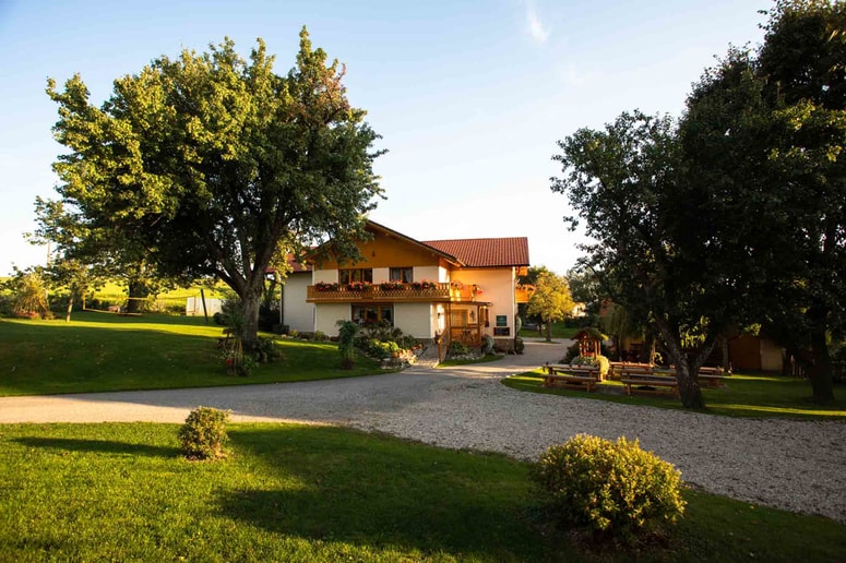 Glavna fotografija članka:Pri Baronu: Z eko domačega vrta na mizo