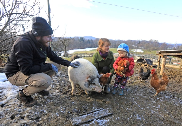 Na kmetiji Koki med živalmi ne delajo razlik.
