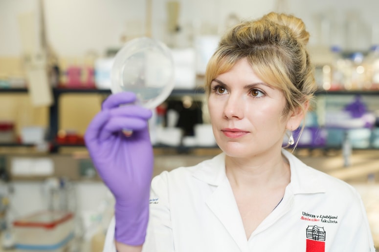 Doc. dr. Anna Dragoš je zaposlena na Oddelku za mikrobiologijo Biotehniške fakultete Univerze v Ljubljani. 

