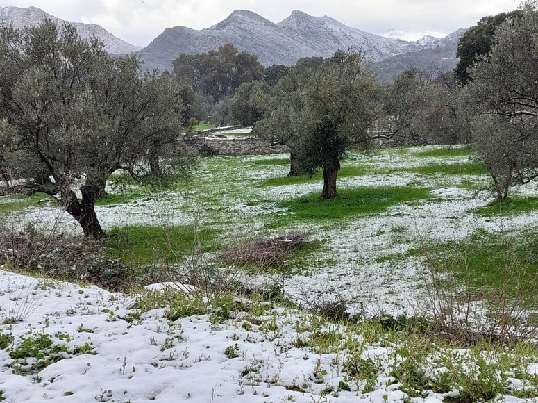 V gorah v okolici Aten, na Peloponezu in na Kreti je zapadel sneg, ponekod pa je padala tudi toča.