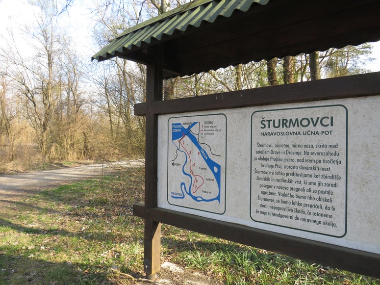 Dela na terenu naj bi končali najkasneje do prve polovice leta 2022.