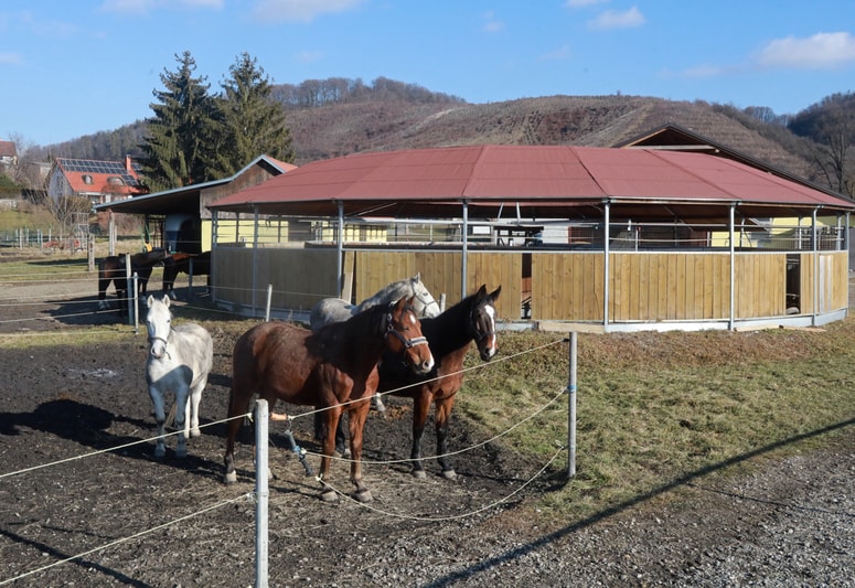 Hipodrom Kamnica s 140-letno konjeniško tradicijo že dlje časa nima najemnika, ne pravega dogajanja. So pa zaradi njega že vrsto let hude razprtije.