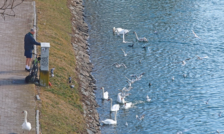 Glavna fotografija članka:Utrinek: Sašo BIZJAK
