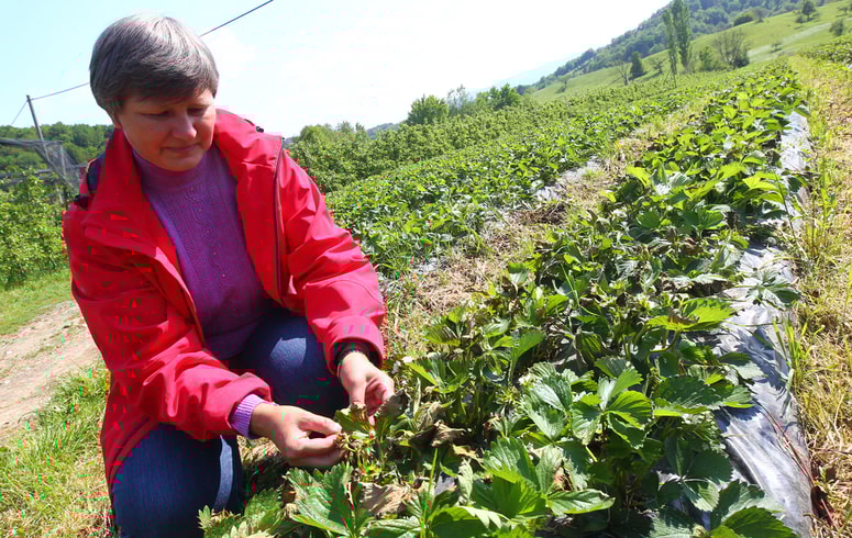Glavna fotografija članka: