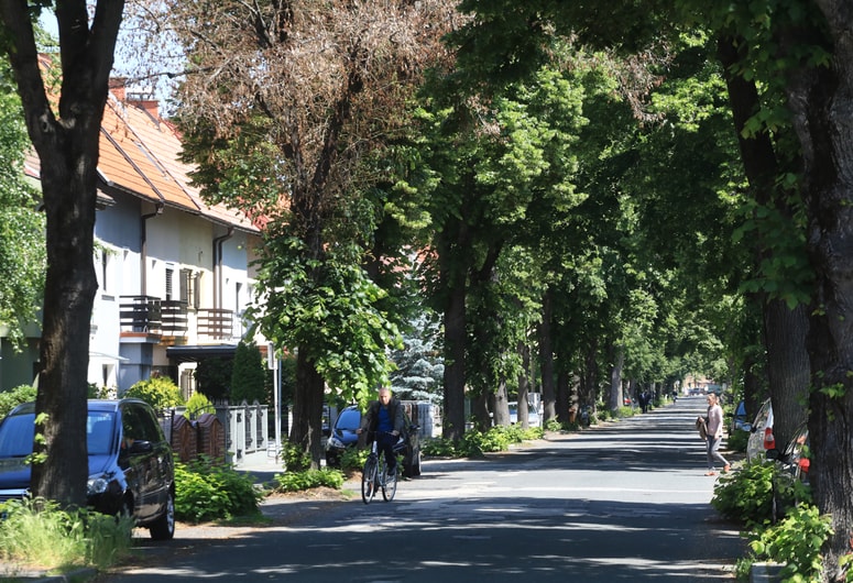 Glavna fotografija članka:Cesta zmage: Občina pristala na kompromis