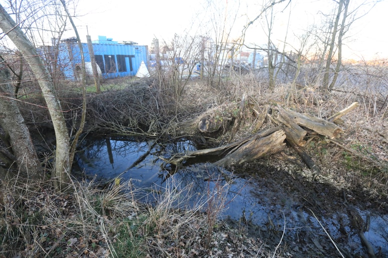 V okolici industrijskega obrata je več vodotokov, vsi se zlivajo v potok Žabnik, ki je prekomerno onesnažen. 