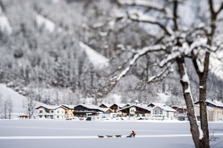 Fotografija je simbolična.
