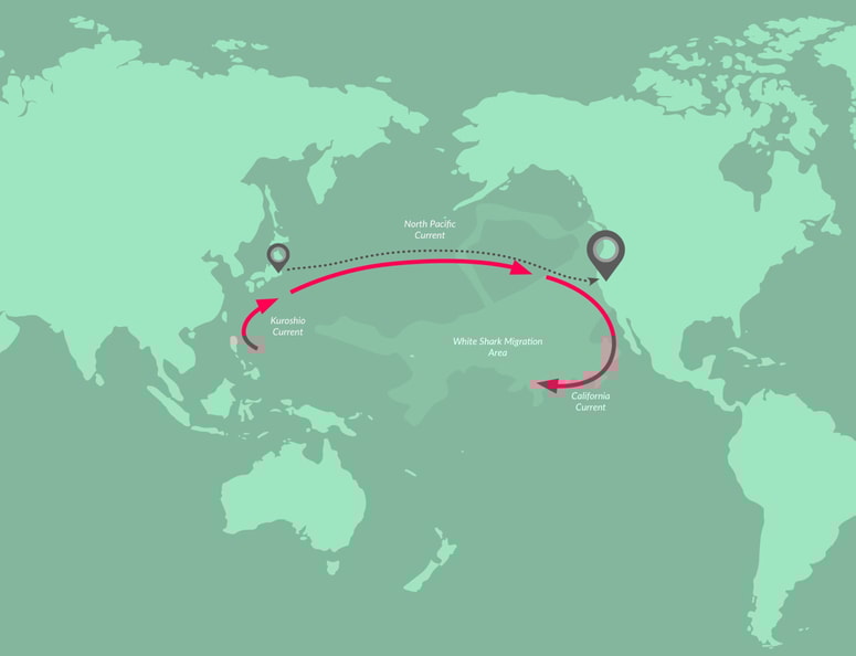 Lecomte bo plaval iz Tokia v San Francisco. 