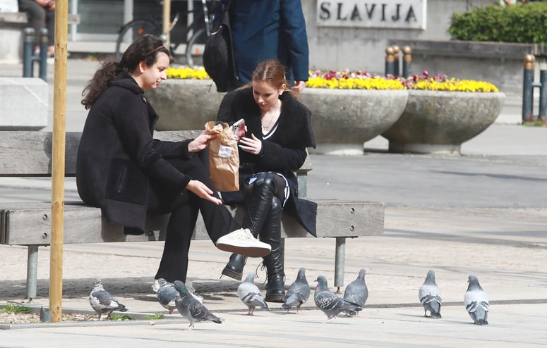 Glavna fotografija članka:Utrinek: Sašo BIZJAK
