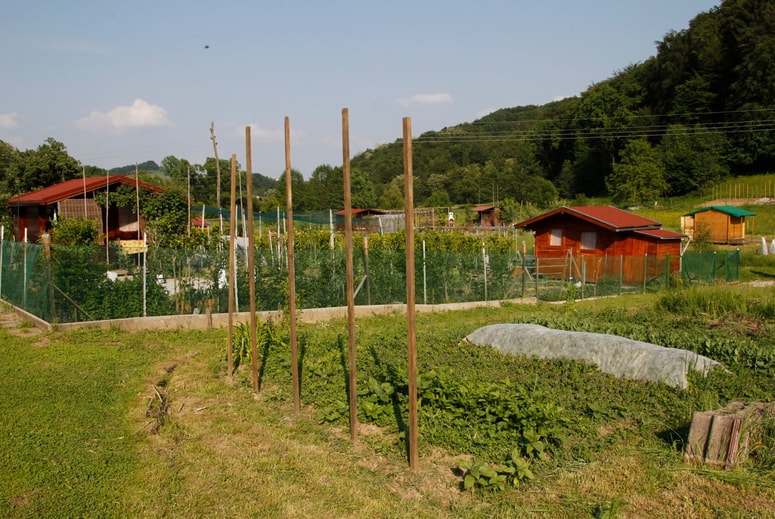 Še največ možnosti za pridobitev vrtička na občinskem zemljišču je na lokaciji Morski jarek, kjer je 120 vrtov. 