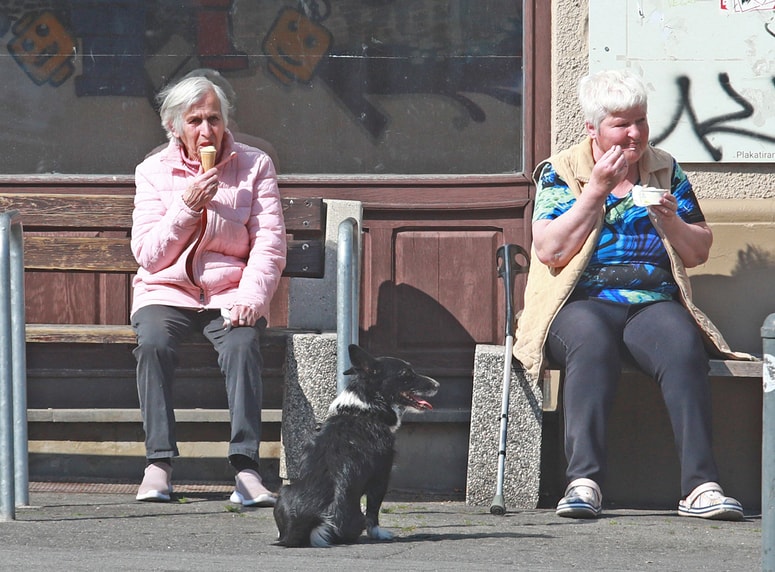 Glavna fotografija članka:Utrinek: Sašo BIZJAK
