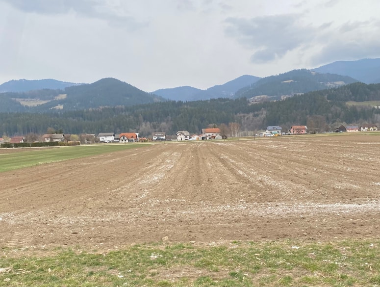 Ena od njiv z belo snovjo v Mislinjski dolini, na kateri so odvzeli vzorec za analizo. 