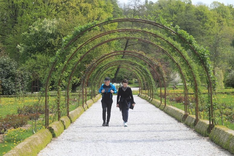 Glavna fotografija članka:Kljub zimi v Botaničnem vrtu v Pivoli pestro dogajanje