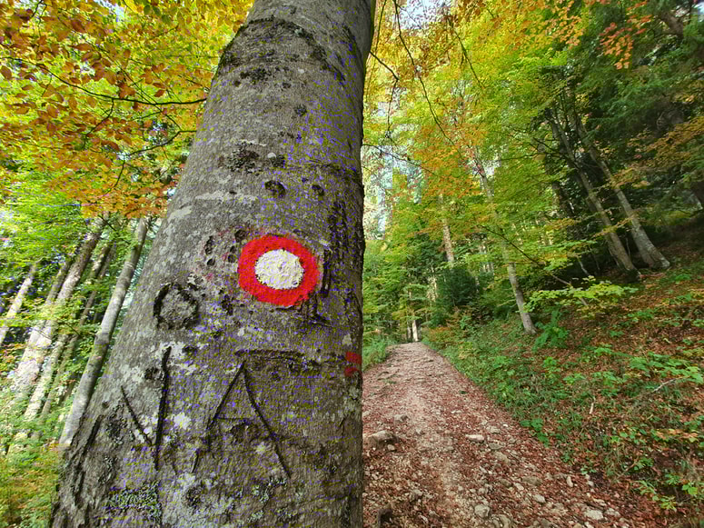 Markacije se še danes riše po sto let starih Knafelčevih navodilih. 
