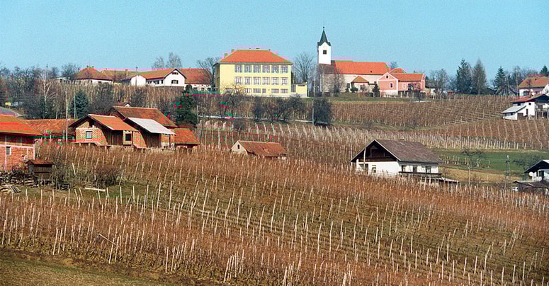 Ker so pirbližno pred mesecem dni pripadnike Štajerske varde domačini opazili pri Kogu, so ormoški občinski svetniki ukrepali. 