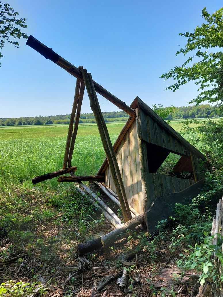 Ena od podrtih lovskih prež LD Pobrežje-Miklavž
