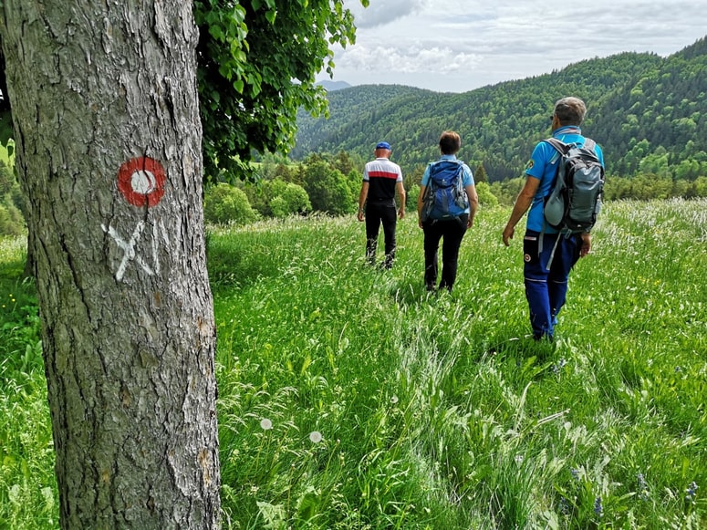 Vezno planinsko pot XIV. divizije označujejo rdeče-bela Knafelčeva markacija, rdeče planinske usmerjevalne table in rdeča rimska številka XIV.
