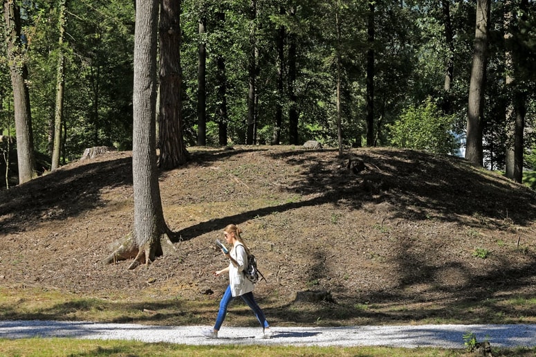 Glavna fotografija članka:Botanični vrt: Gomilna grobišča nič več v zapuščenem gozdu, nova tudi stalna razstava