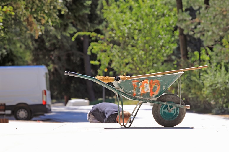 Glavna fotografija članka:(PISMO BRALCA) Pleveli na območju Treh ribnikov