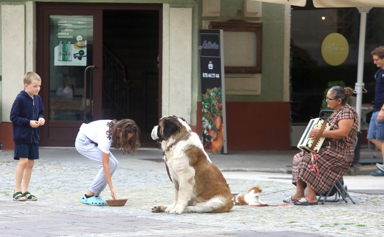 Glavna fotografija članka:Utrinek: Sašo BIZJAK