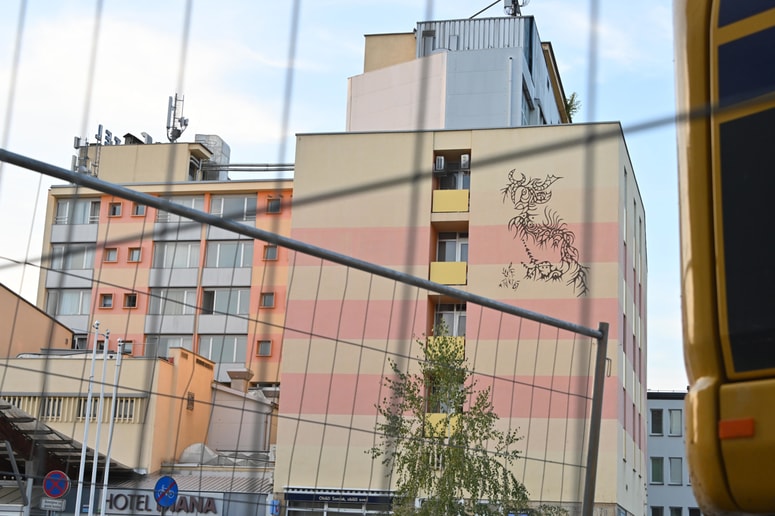 Po izteku najemne pogodbe bi Diana lahko postala nova enota doma, a le, če bi lastniki prostore uredili po vseh standardih in normativih. 