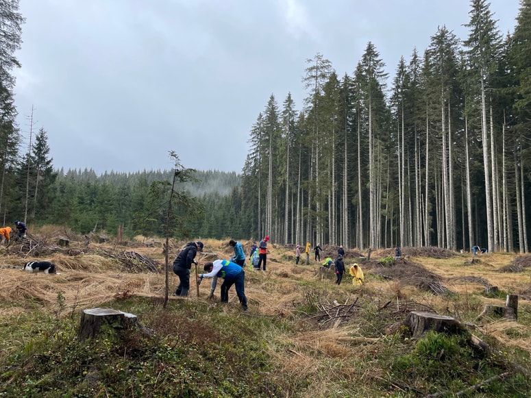 Glavna fotografija članka:(KOMENTAR) Leseni časi