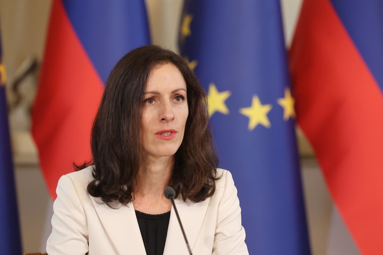 Neža Kogovšek Šalamon je bila v preteklosti direktorica Mirovnega inštituta. 