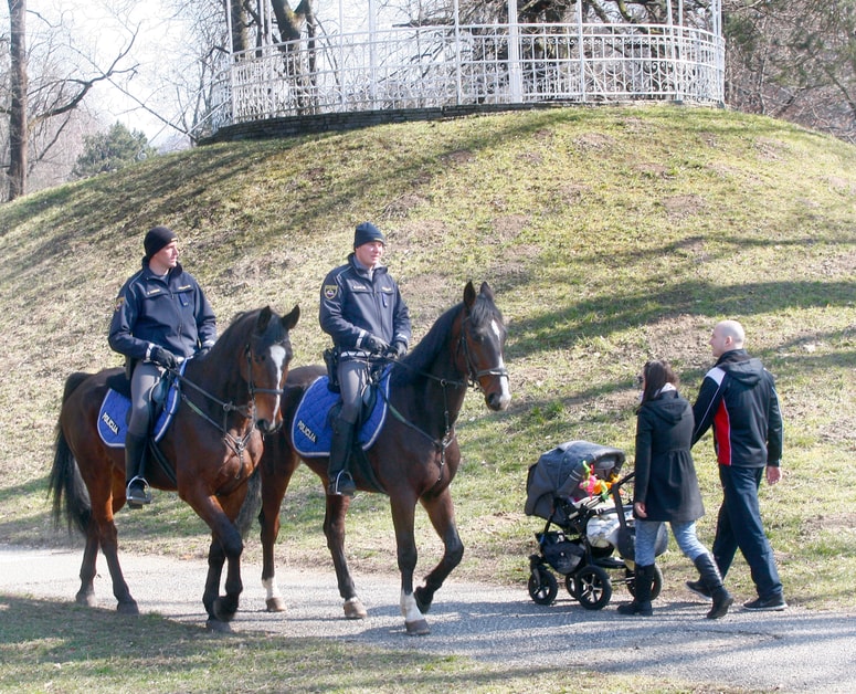 Glavna fotografija članka:(ODPRTO PISMO) Zakoni džungle? Apeliram ...