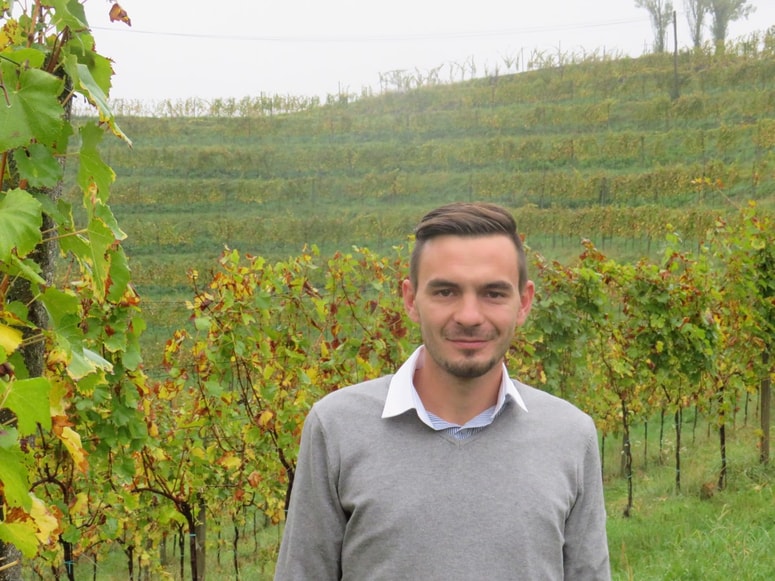 Aleksander Zavec, haloški vinogradnik 