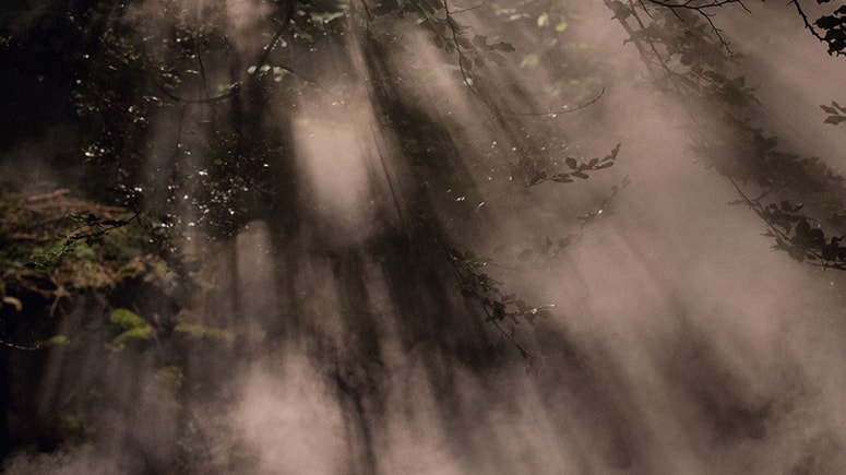 Ana Pečar, Stvarjenje in izum jemljeta pogum, 2022, cikel fotografij