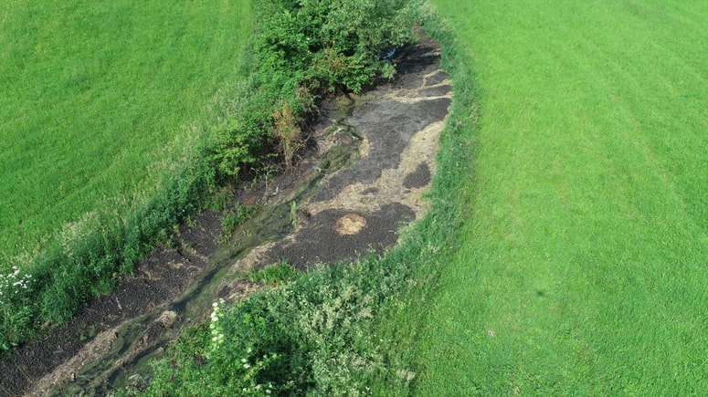 Lastnik zemljišča je dovoze dovolil v zameno za 350 evrov, salamo in šest piv. 