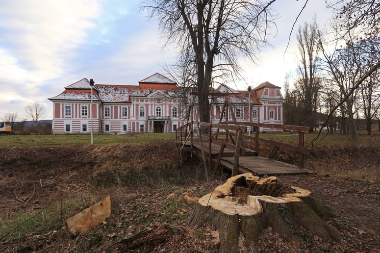 Padlih dreves okoli baročnega dvorca Betnava, kar je vznemirilo precej Mariborčanov, je bilo najmanj 241.