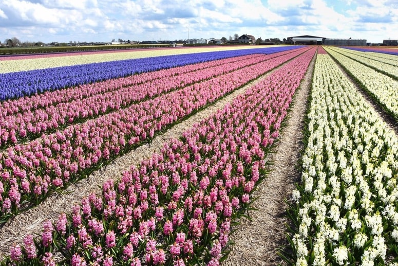 Glavna fotografija članka:(REKLI SO) Nataša Kramberger: Hvala za rože, dišijo kot strup!