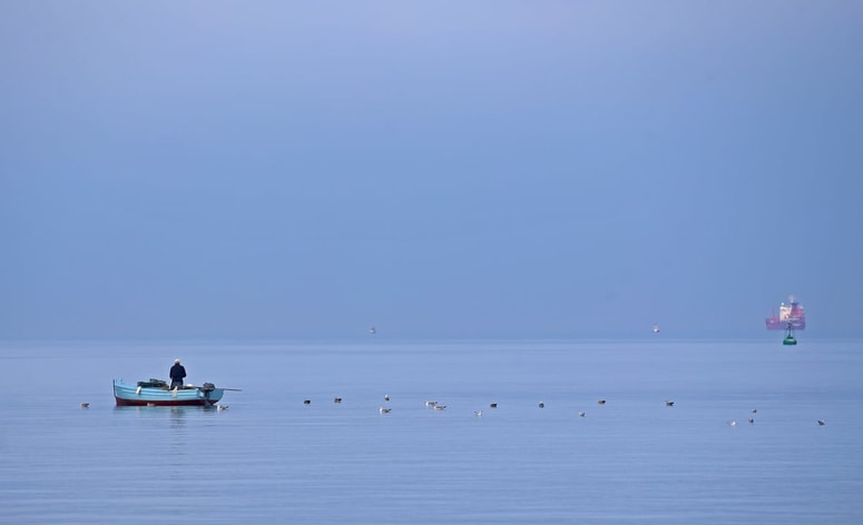 Glavna fotografija članka:Na slovenski obali te dni neobičajno močna oseka, na Hrvaškem ugibali, ali je šlo za posledico močnega potresa