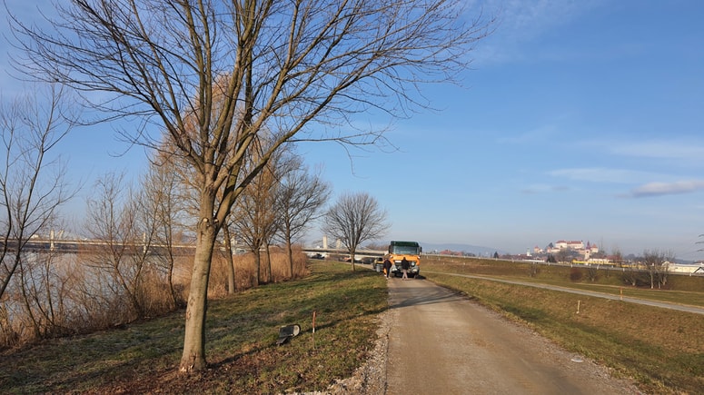 Delavci so v preteklih tednih pot razširili in utrdili. 