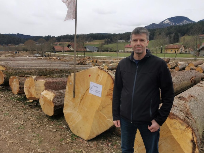 Ciril Detečnik je povedal, da je izjemna smreka stara krepko čez 100 let. 