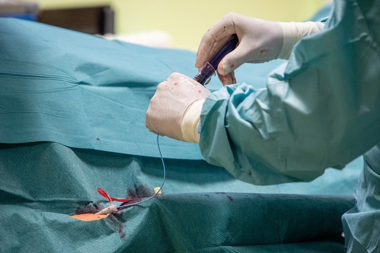 Glavna fotografija članka:(POGLED) Kolumna Igorja Gošteta: Vedel sem, a se delal, da ne vem