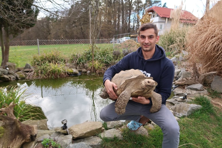 Ob domačem ribniku z želvo