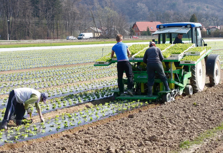 Kako se odgovorno organizirati, da lokalno pridelano ne bo samo marketinški trik. 