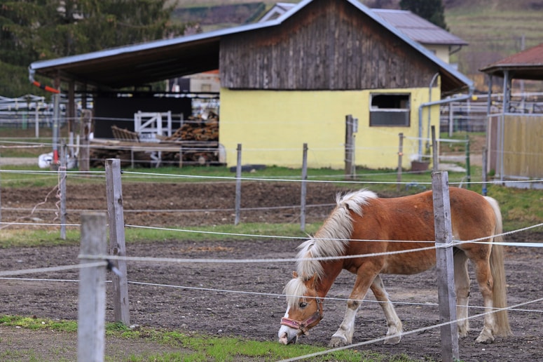 V Javnem holdingu Maribor so z novo najemnico zadovoljni, ker redno poravnava svoje obveznosti. 