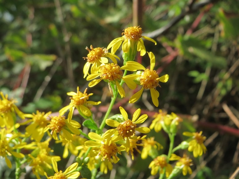 Glavna fotografija članka:Mehur vam bo hvaležen