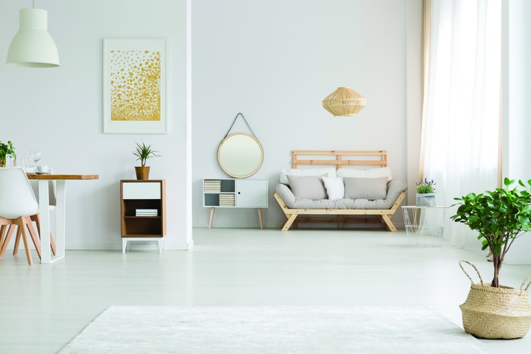 Glavna fotografija članka:Pohištveni optimizem