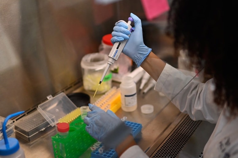 Glavna fotografija članka:Na Kitajskem se širi gripi podoben virus, strokovnjaki mirijo, da ne bo nove pandemije