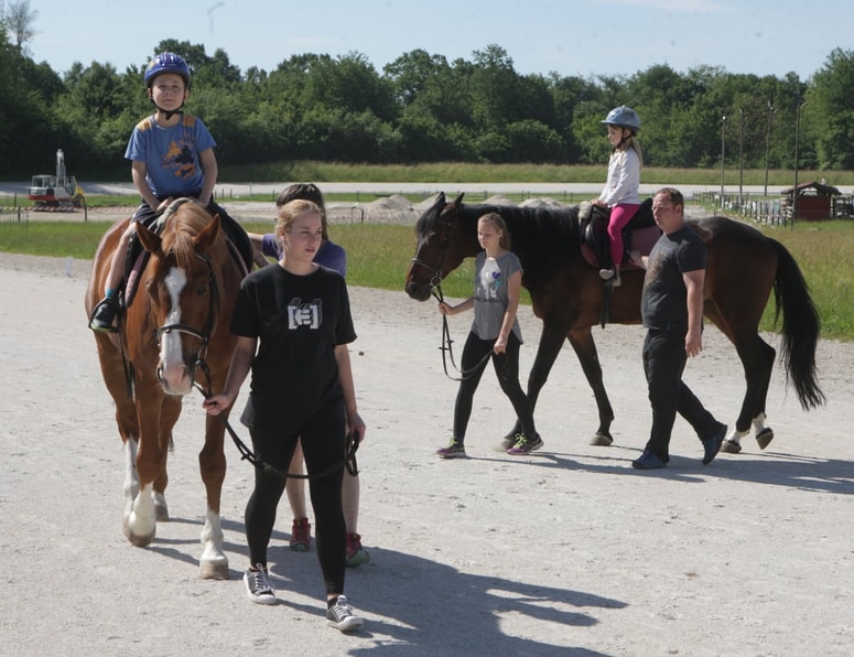 V Športnih objektih Maribor priznavajo, da so se določena vlaganja Kasaškega društva Piramida v hipodrom kompenzirala z najemnino, a naj bi za to obstajala vsa potrebna soglasja. 