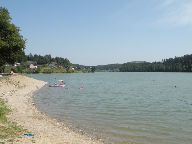 Glavna fotografija članka:V Šmartinskem jezeru vnovičen spomladanski pogin krapov